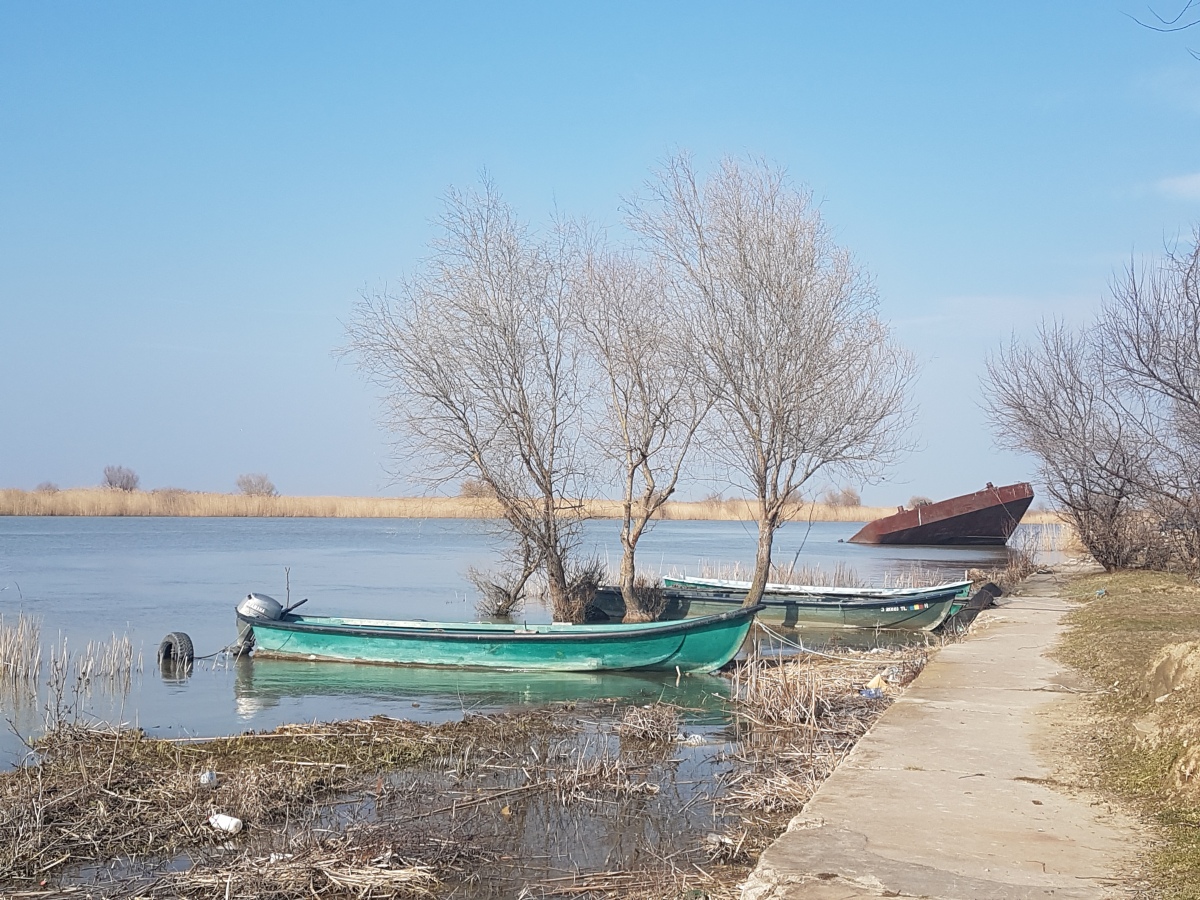 Grandeur et décadence du delta danubien: Récit d’une excursion à Sulina